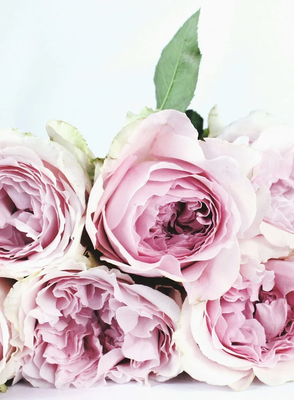 Afscheid van een dierbare – Respectvol, warm, volledig verzorgd